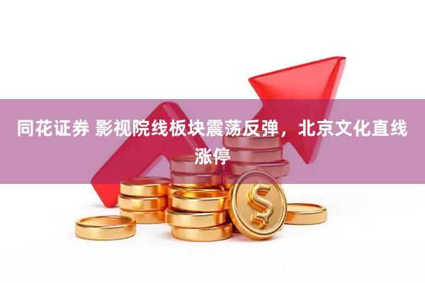 同花证券 影视院线板块震荡反弹，北京文化直线涨停