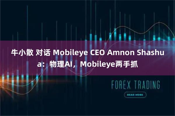 牛小散 对话 Mobileye CEO Amnon Shashua：物理AI，Mobileye两手抓