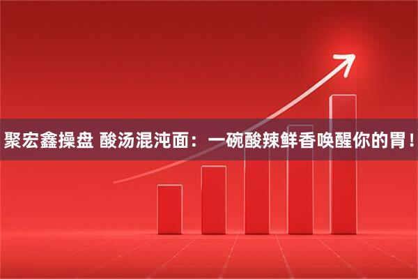 聚宏鑫操盘 酸汤混沌面：一碗酸辣鲜香唤醒你的胃！