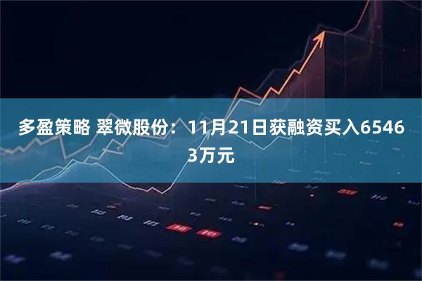 多盈策略 翠微股份：11月21日获融资买入65463万元