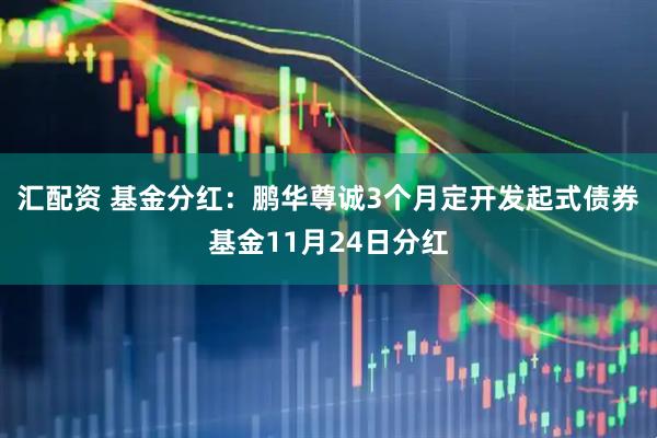 汇配资 基金分红：鹏华尊诚3个月定开发起式债券基金11月24日分红